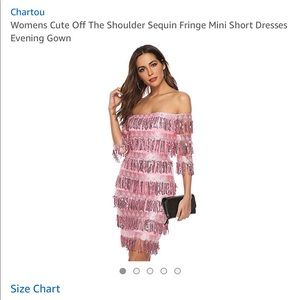 Pink & silver fringe dress
